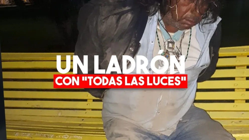 Se robó las luces de una fuente del parque, lo descubrieron e hirió a un policía