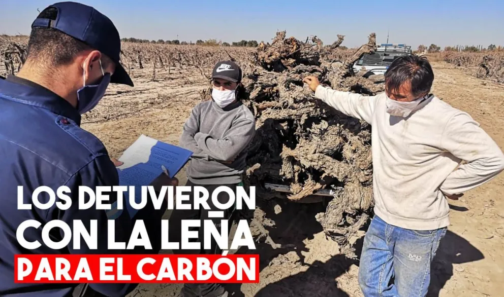 Dos hermanos fueron detenidos en una finca queriendo robar parras