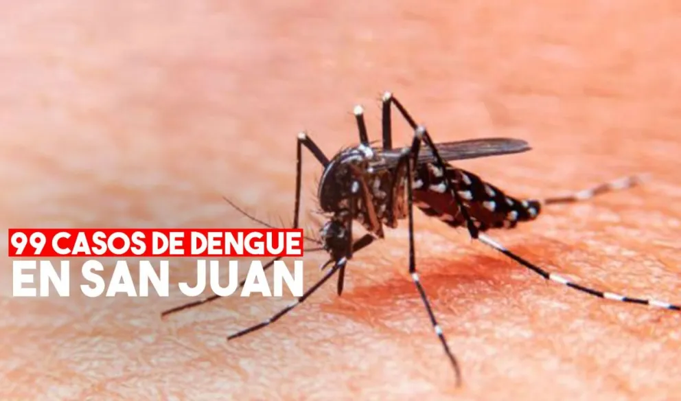Confirman 99 casos de Dengue en San Juan