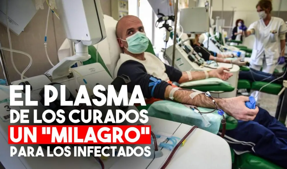Coronavirus: Comenzaron a utilizar el plasma de recuperados para el tratamiento de infectados