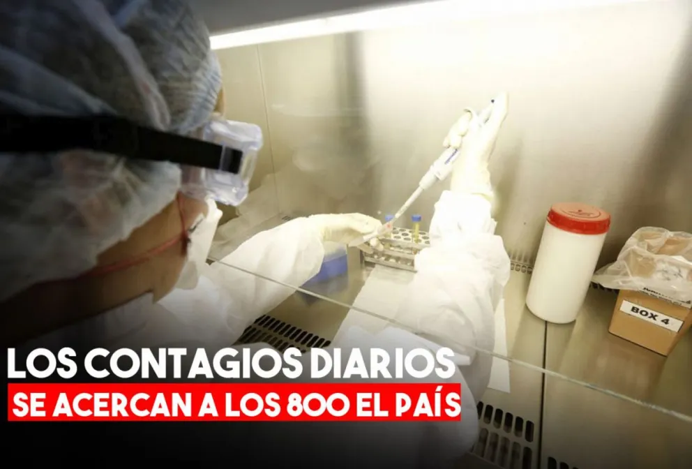 Coronavirus en Argentina: nuevo récord de contagios y 8 muertes en las últimas 24 horas