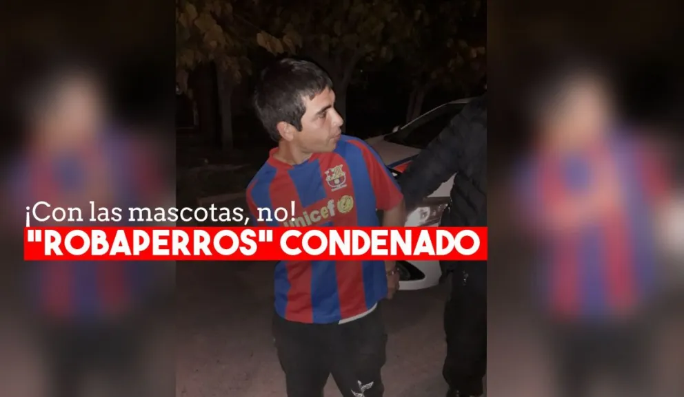 El peligroso “robaperros” condenado a dos años de prisión