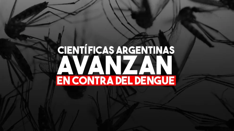 Científicas argentinas lograron ver por primera vez el recorrido de la proteína del dengue
