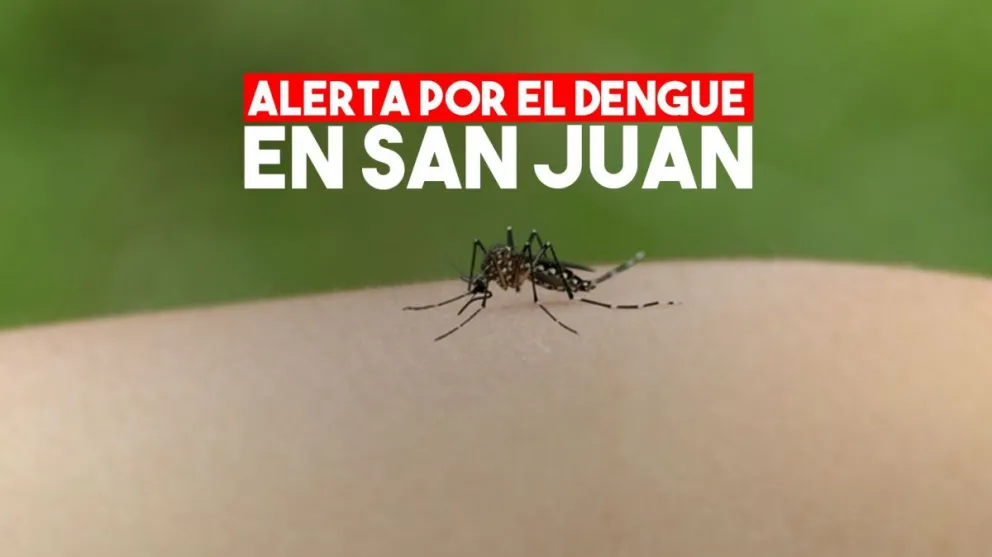 Se confirmaron 100 casos de dengue en San Juan