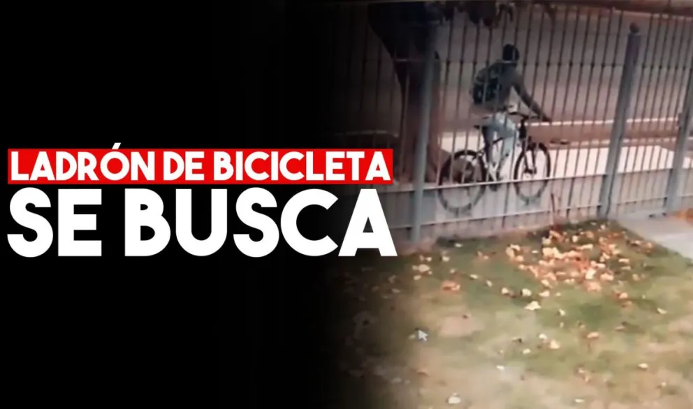Le robaron la bici y pide ayuda para encontrarla