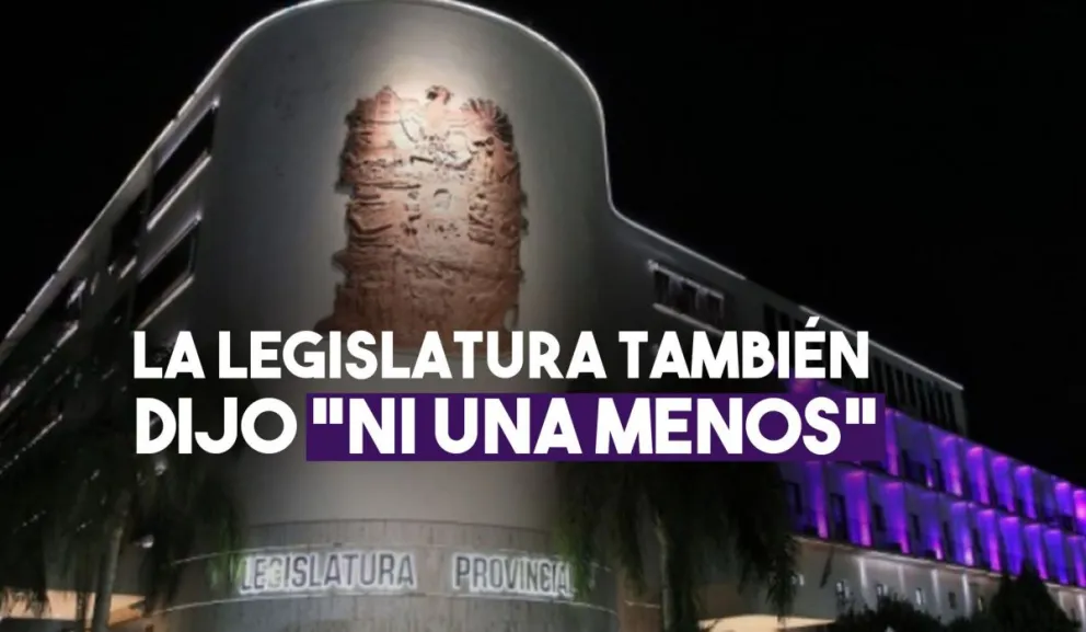La Legislatura se iluminó para conmemorar el "Ni Una Menos"