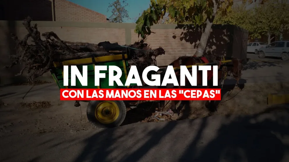 Detienen a nueve personas que en carretera robaron en una finca