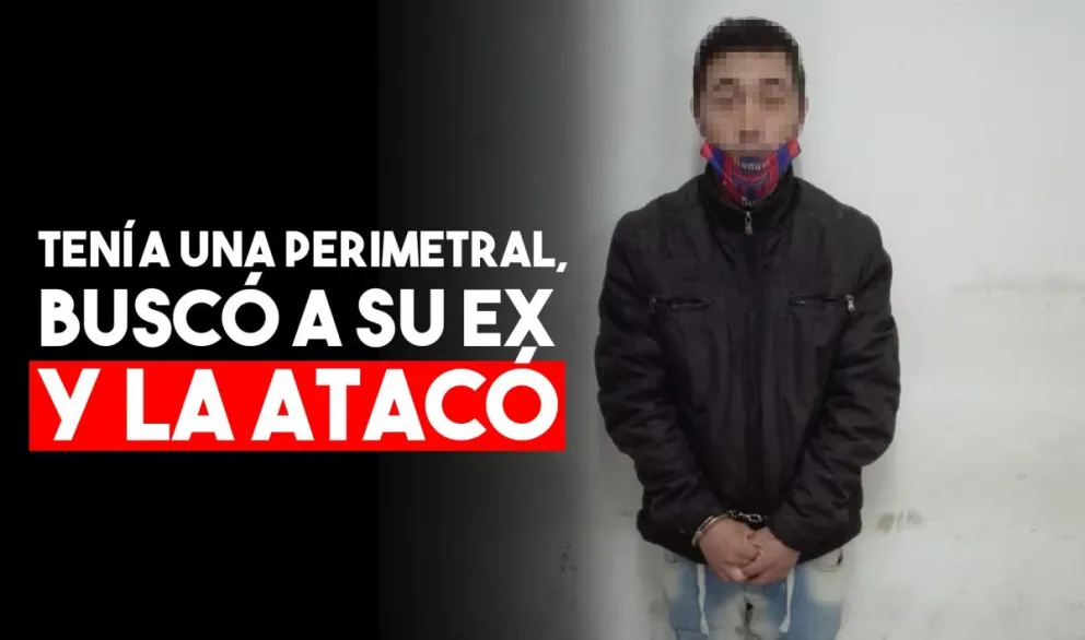 Atacó a su ex pareja mientras dormía e intentó quitarle a dos de sus hijos