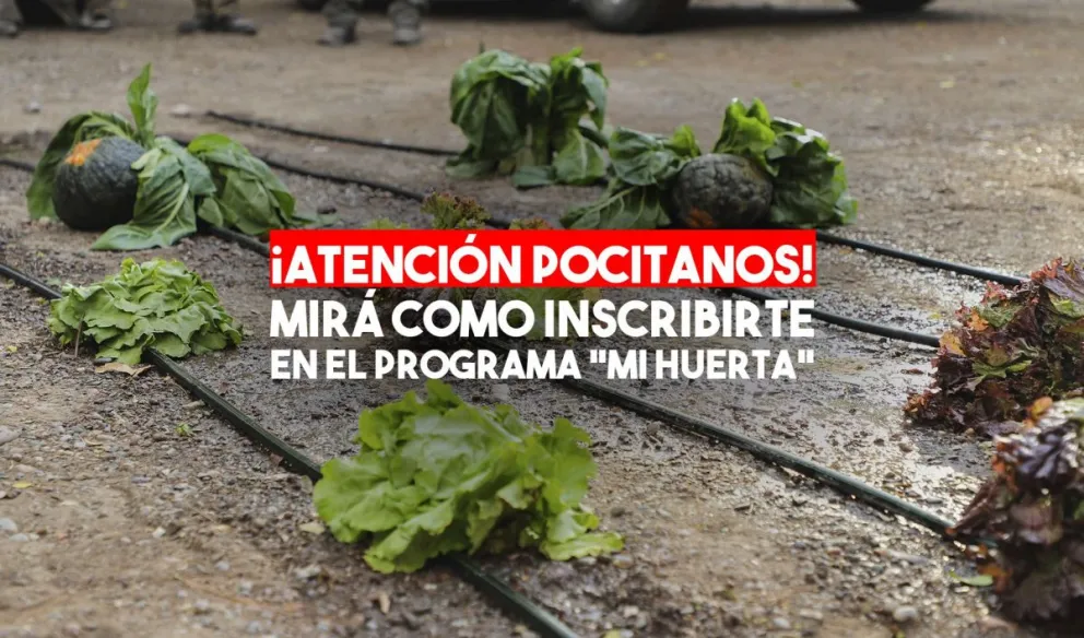 Pocito: mirá los requisitos para inscribirse en el Programa Mi Huerta