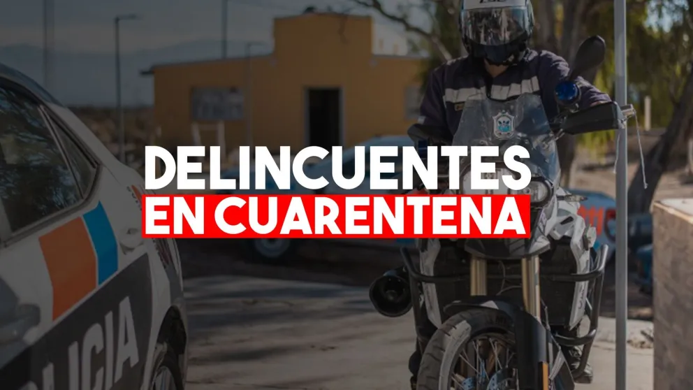 Bajó notoriamente la delincuencia durante el primer semestre del año