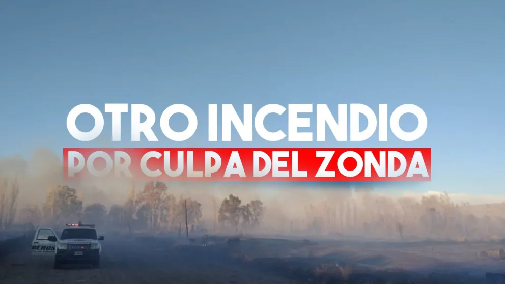 El zonda volvió a prender fuego unos pastizales