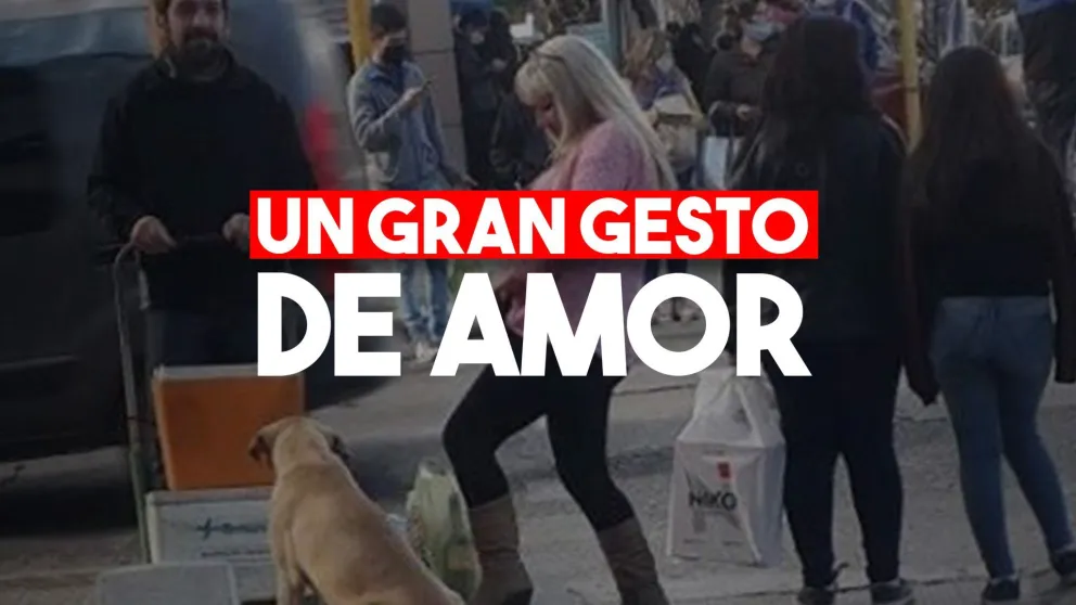 Gran gesto: le compró comida a un perro callejero para saciar el hambre