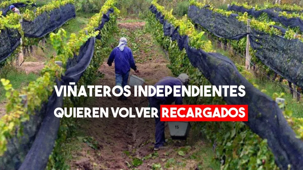 La Asociación de Viñateros Independientes propuso un plan de trabajo