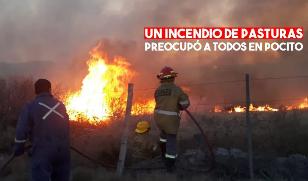 Pocito: se incendiaron cuatro hectareas de pasturas