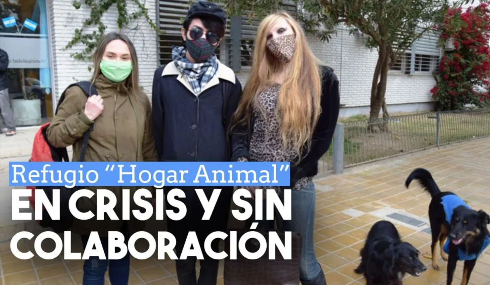 El "Refugio Hogar Animal" de Jáchal en crisis y sin ayuda de la municipalidad