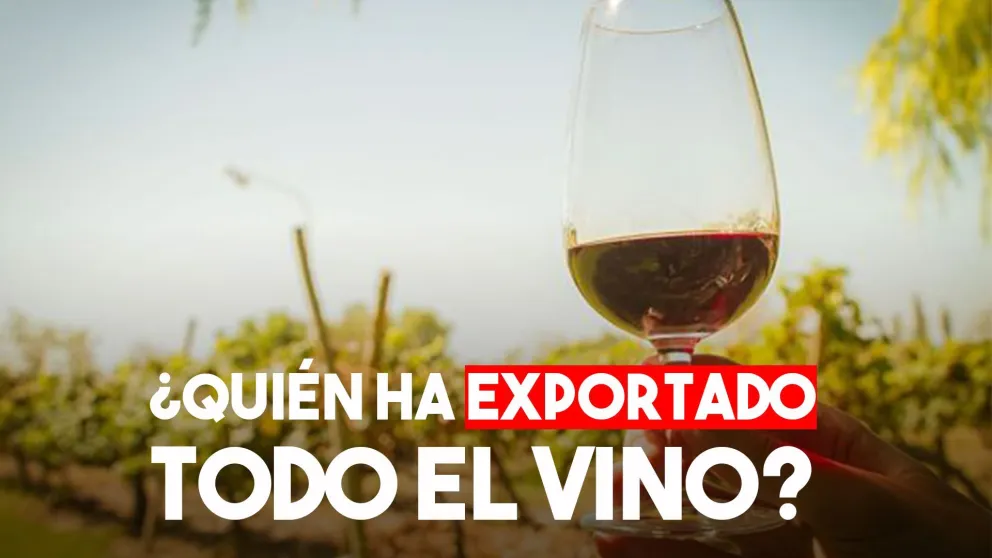 Diaz Cano afirmó que los niveles de exportación de vino aumentaron en mayo