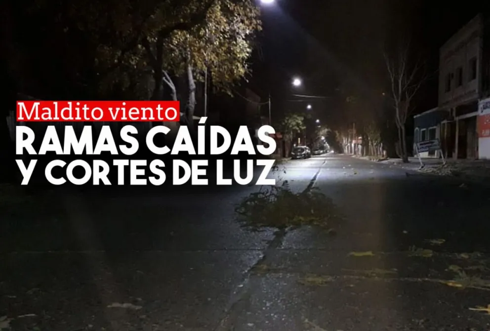 Tierra, ramas caídas y cortes de luz por el Zonda