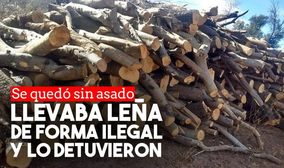 Transportaba 1500 kilos de leña con un permiso falso y lo detuvieron