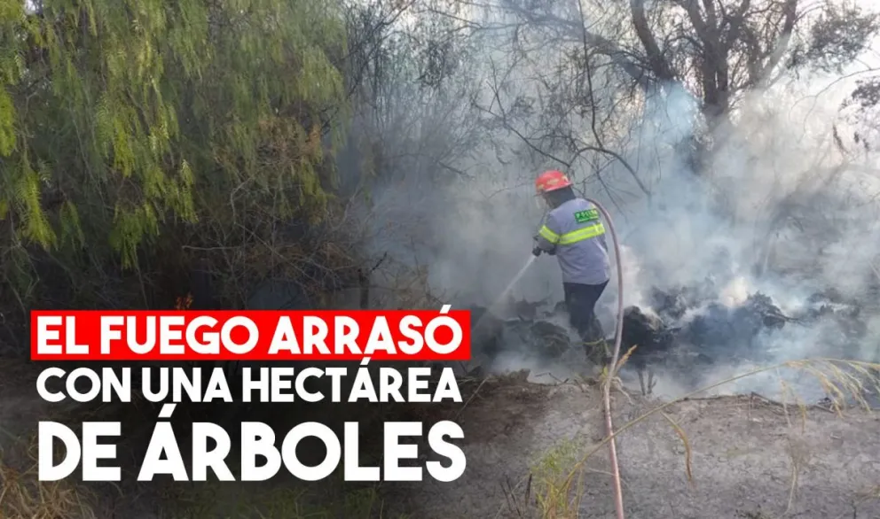 Un incendio forestal causó preocupación en Pocito