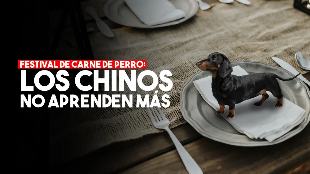 A pesar de la pandemia, China inauguró su festival de carne de perro