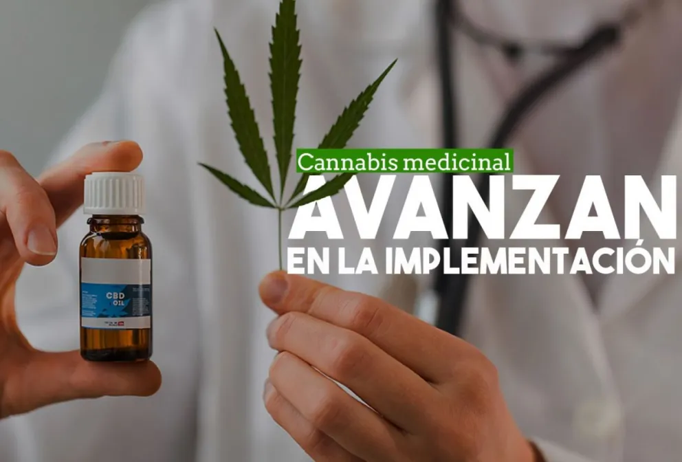 Cannabis medicinal: Venerando estará a cargo de las relaciones entre el Gobierno y la Sociedad del Estado