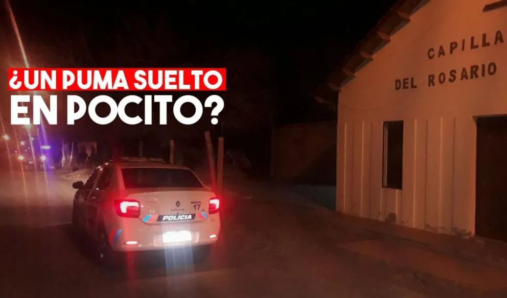 Gran operativo en Pocito: se busca un puma