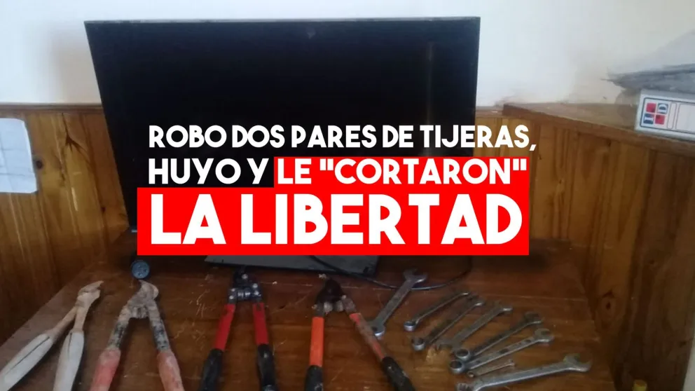 Cayó un delincuente que había robado en una bodega
