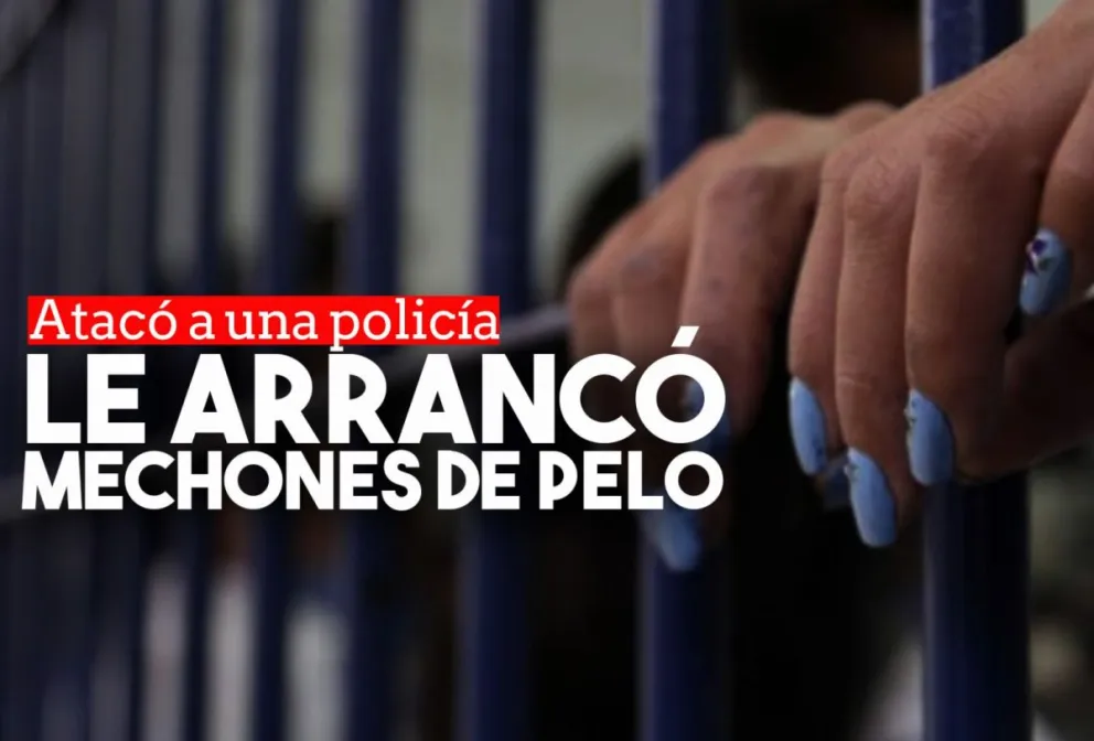 Un vecino la denunció por violenta y cuando llegó a la comisaría atacó a una agente