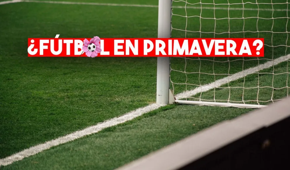 Fútbol: desde Nación pretenden que vuelva en septiembre