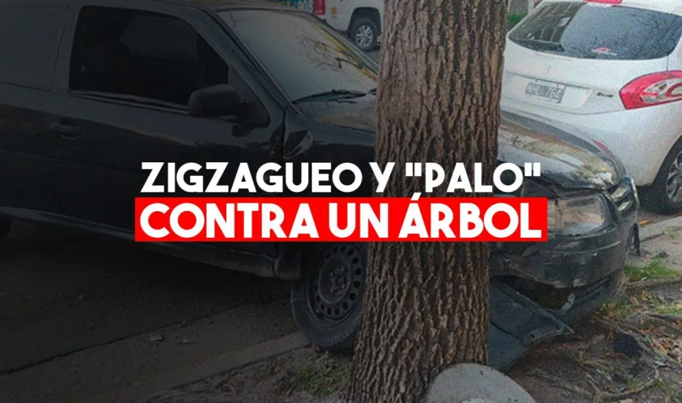 Un hombre chocó contra un árbol y se salvó de milagro
