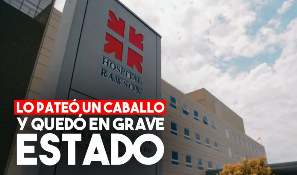 Un nene de un año quedó en grave estado tras ser pateado por un caballo