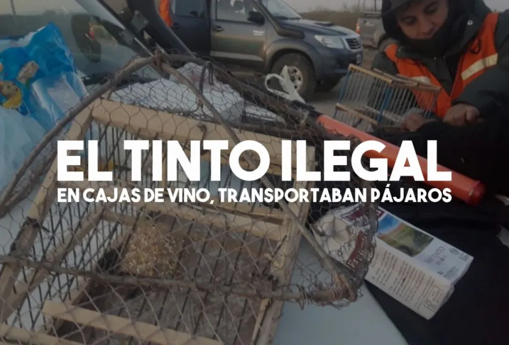 Ambiente: se labraron ocho actas de infracción el fin de semana