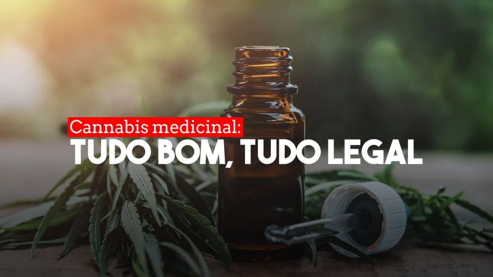 El Gobierno habilitaría el cultivo personal y la venta de aceite de cannabis en farmacias