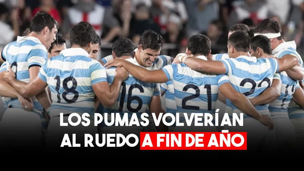 Los Pumas jugarán en Nueva Zelanda a fin de año