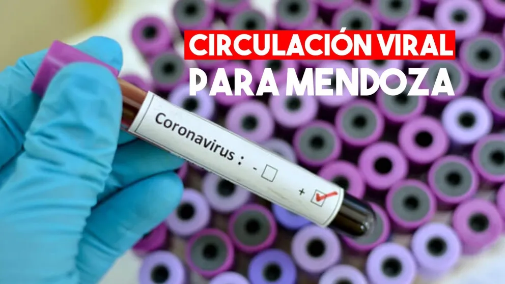 Mendoza anunció que tiene circulación viral