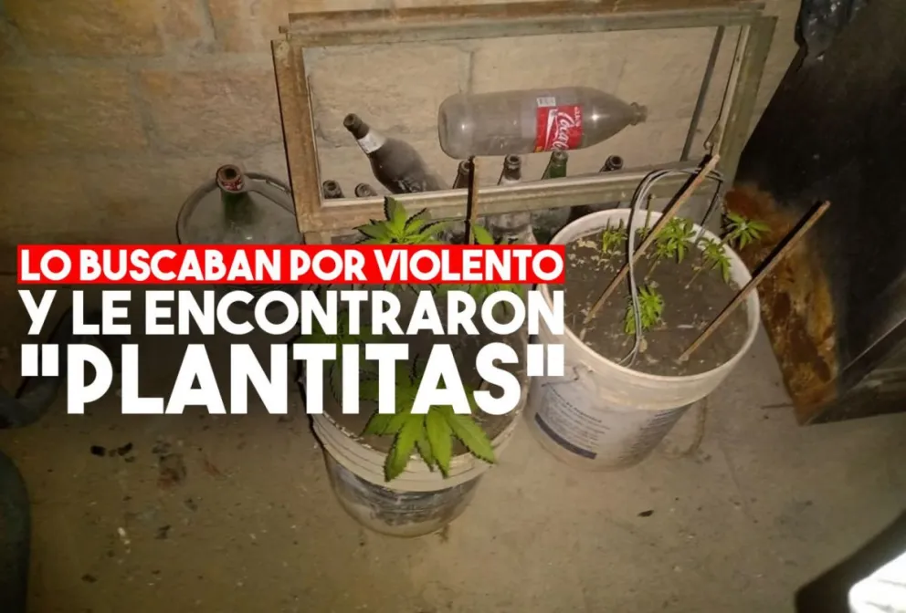 Echó a su esposa e hijos de su casa y la policía le encontró marihuana