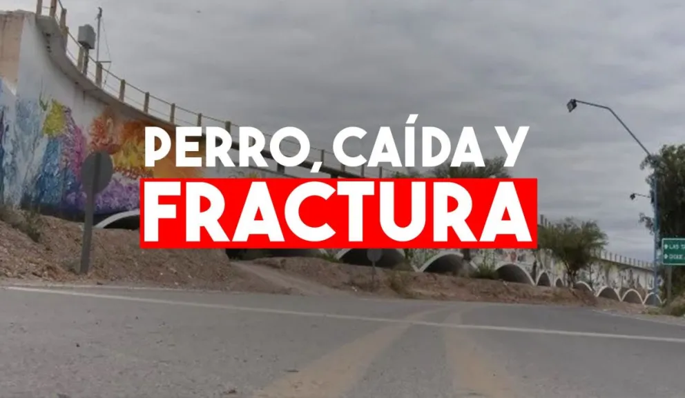 Se le atravesó un perro, cayó de la moto y se quebró una muñeca