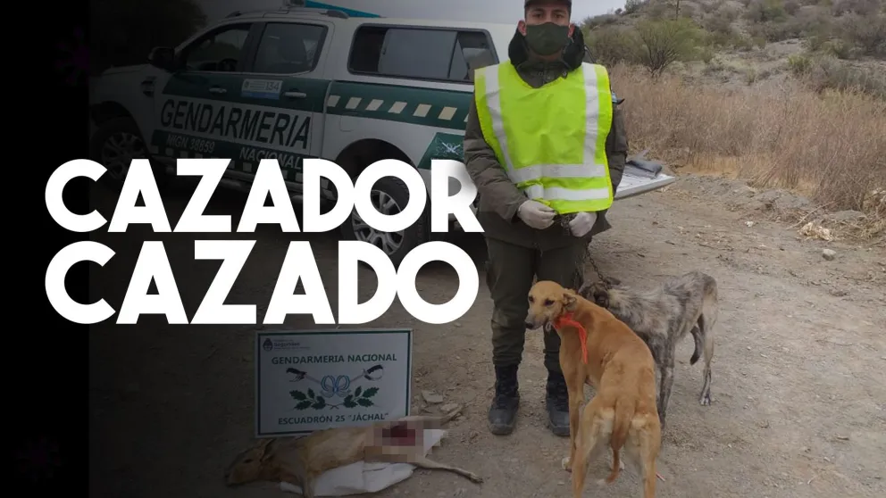 Lo pararon en un control y le encontraron una liebre cazada ilegalmente
