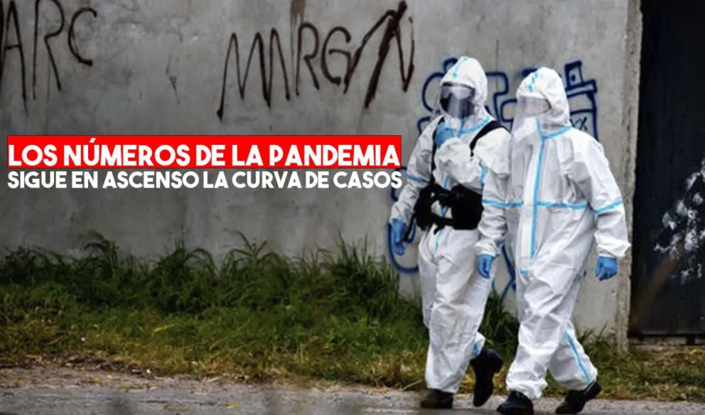 Coronavirus en la Argentina: confirmaron 5782 nuevos casos y 98 muertes en las últimas 24 horas