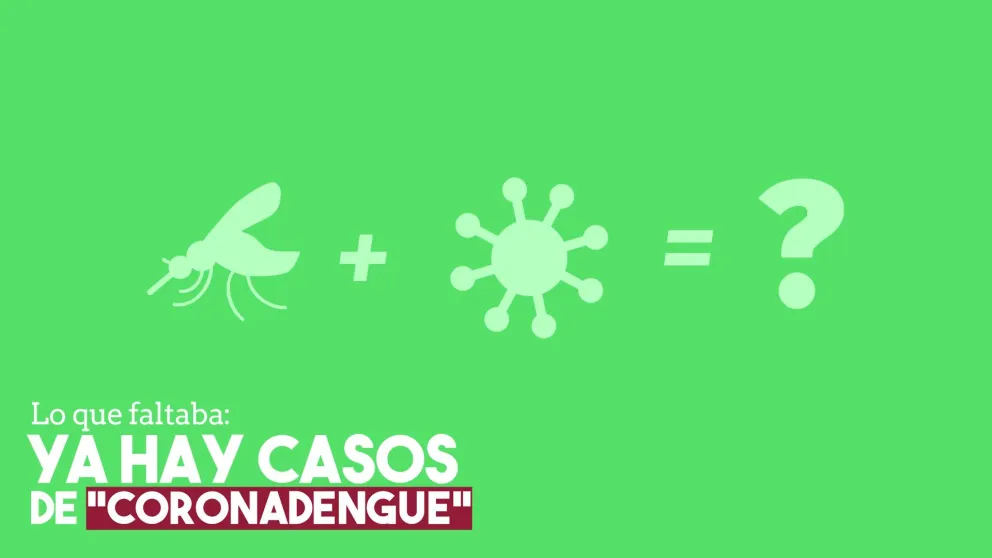 Detectaron trece casos de "coronadengue"