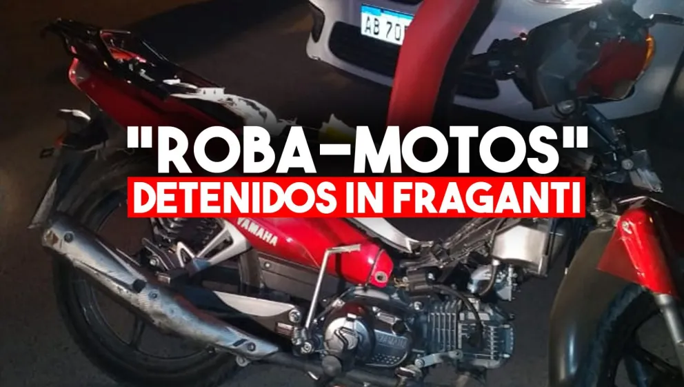 Robaron una moto, la destrozaron e intentaron venderla