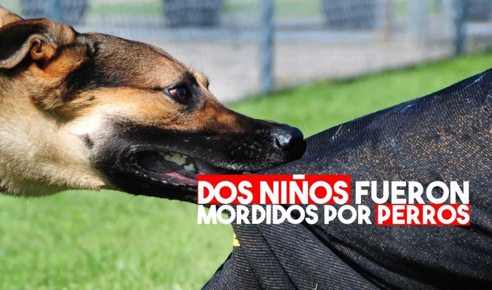 Dos niños fueron atacados por perros en el día de hoy