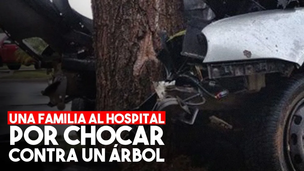 Chocaron contra un árbol y terminaron con graves heridas
