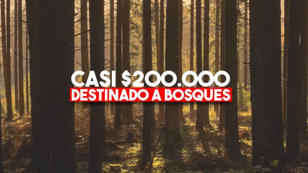 San Juan entre las 10 provincias que recibirán fondos para enriquecer bosques