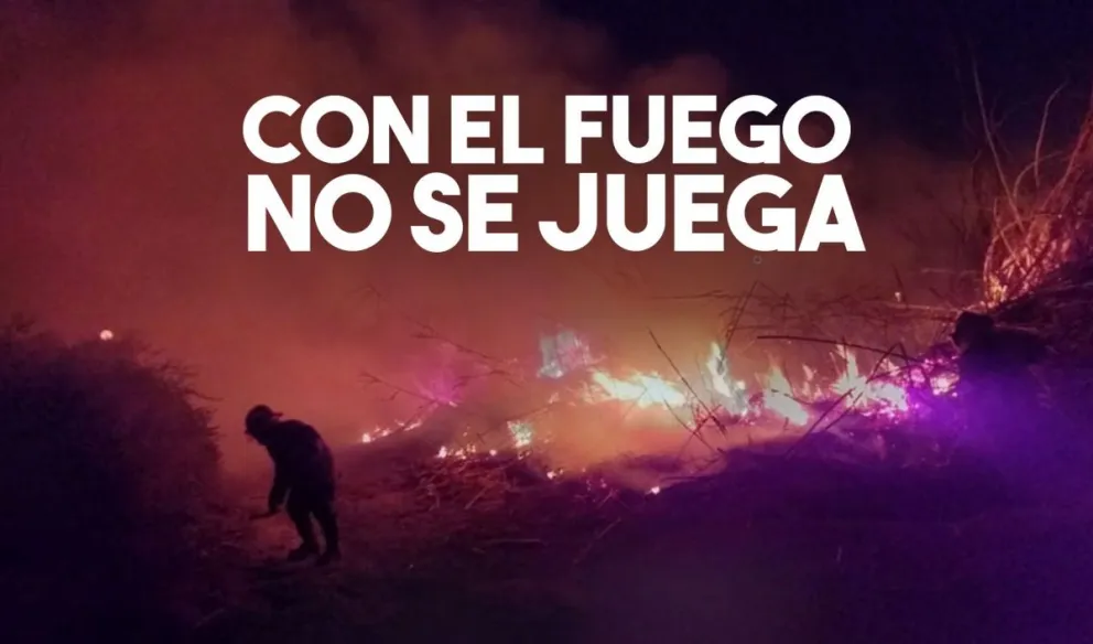 Pocito: dos incendios de cañaverales y pasturas preocuparon a los vecinos