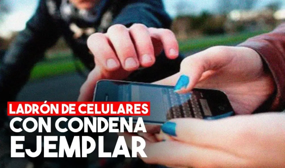 Condenaron a un ladrón por robarse un celular