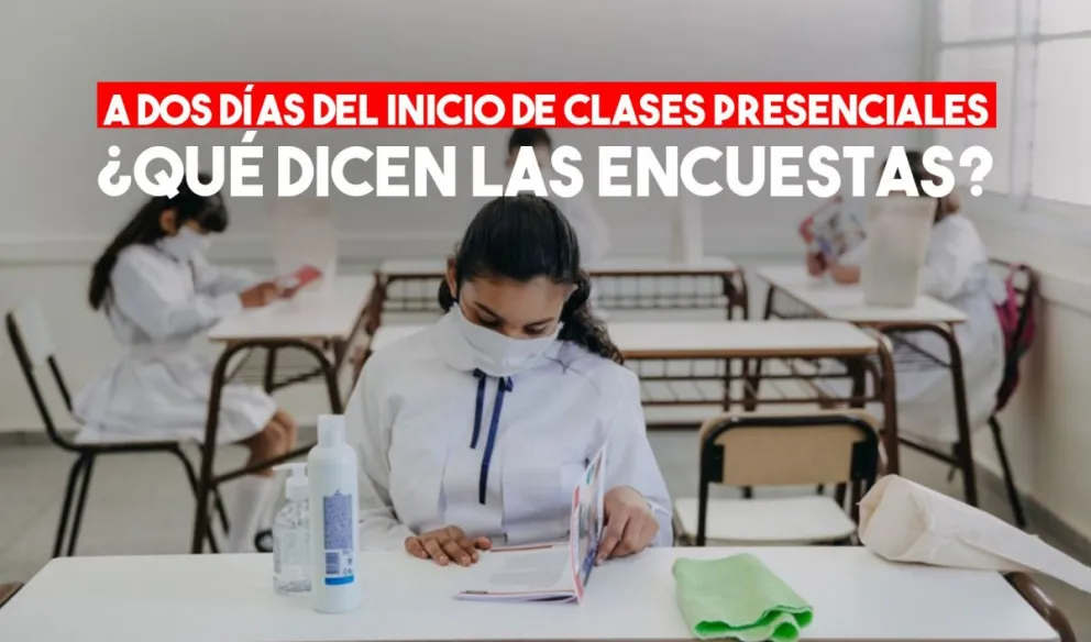 Mirá los datos de las encuestas que Educación hizo a docentes, alumnos y sus familias