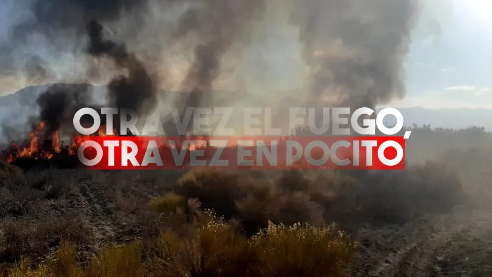 Otra vez incendiaron un campo de pastizales en Pocito