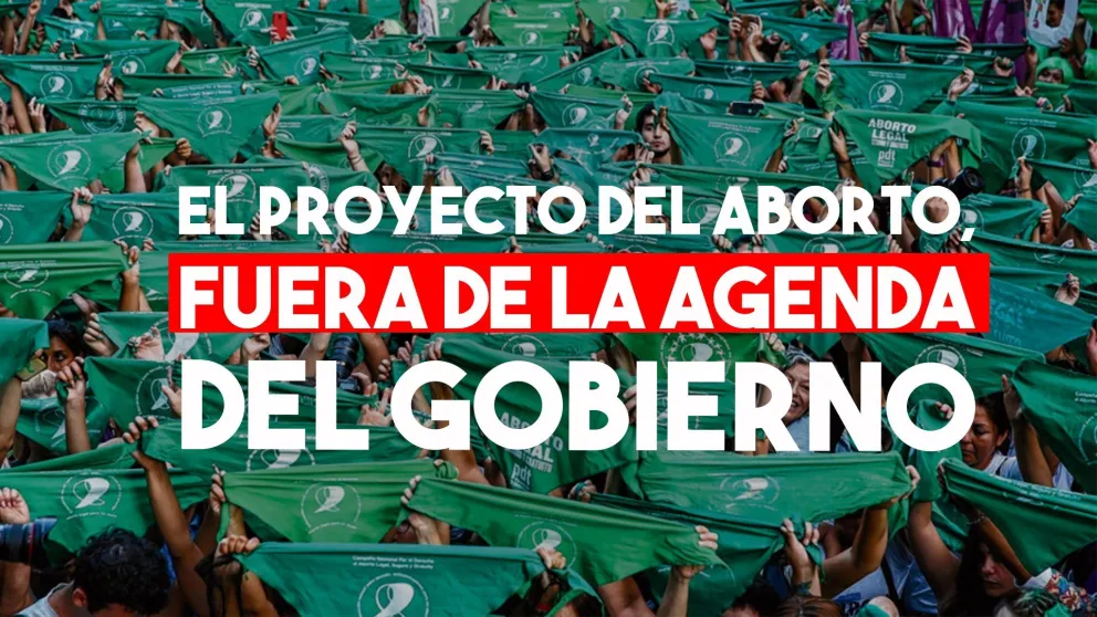 Por la pandemia, el Gobierno no enviaría este año el proyecto de Aborto Legal