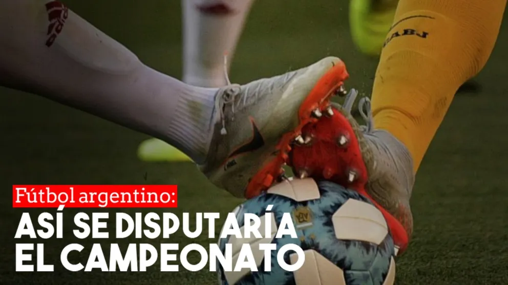 Así se jugaría el campeonato del fútbol argentino en el 2020